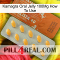 Kamagra Oral Jelly 100Mg How To Use 43